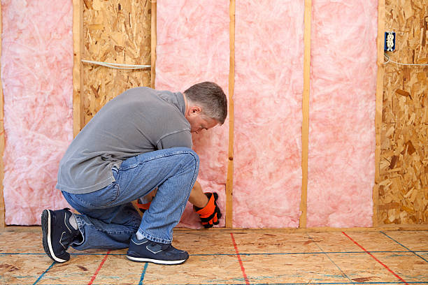 Best Batt and Roll Insulation  in Buna, TX